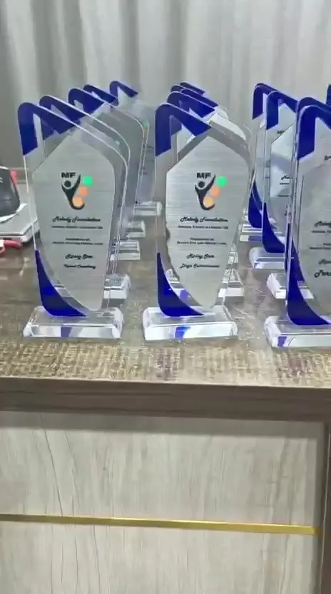 Rows of printed acrylic awards with blue accents
